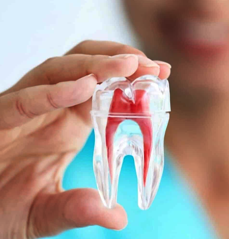 Endodontics